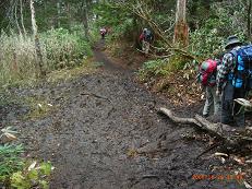 この日の登山道は泥濘が多かった.