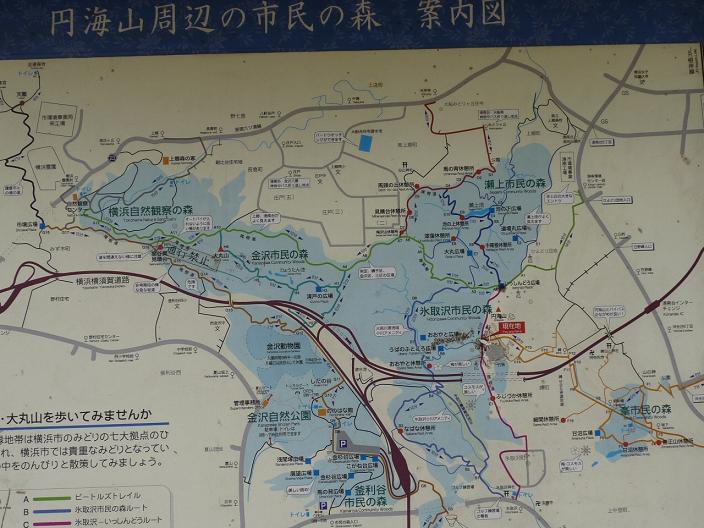 円海山周辺の市民の森案内図、右上が港南台駅、左上が鎌倉天園