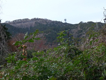 西山寺集落の上部から浜石岳