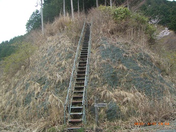 シダンゴ山の10分下で林道を横切り鉄ハシゴを登る