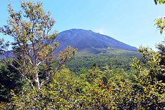 奥庭への道から富士山頂方面